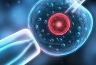 2026国内去泰国做试管婴儿费用费用明细曝光