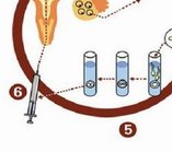 2026南昌试管助孕医院榜单公布，附试管助孕费用明细